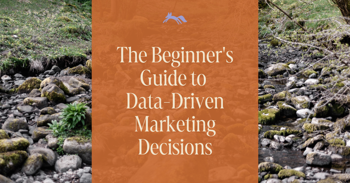 Decorative image that reads" The Beginners's Guide to Data Driven Marketing Decisions"