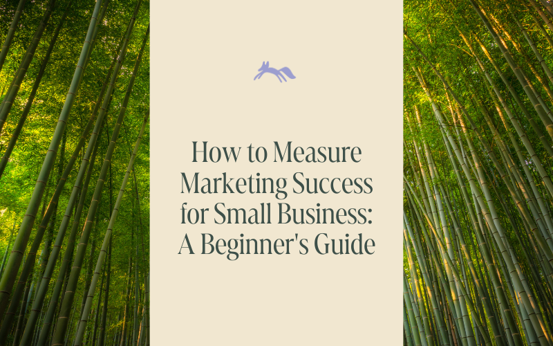 Title Image for "How to Measure Marketing Success for Small Business" Blog